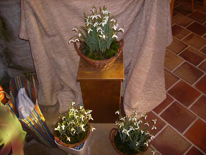 P2010088.JPG