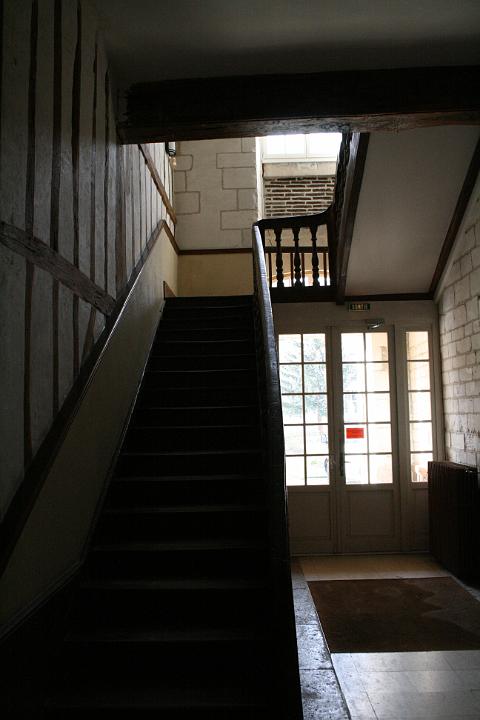IMG_1126.jpg